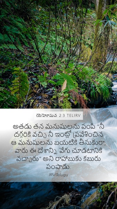 యెహోషువ 2:3 TELIRV Bible Verse Image