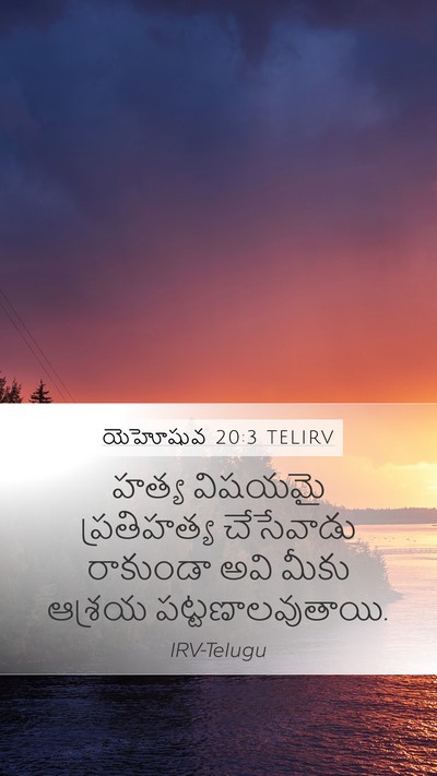 యెహోషువ 20:3 TELIRV Bible Verse Image