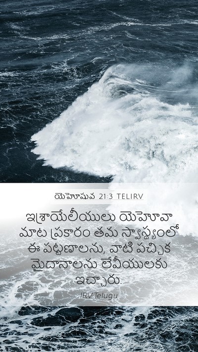 యెహోషువ 21:3 TELIRV Bible Verse Image