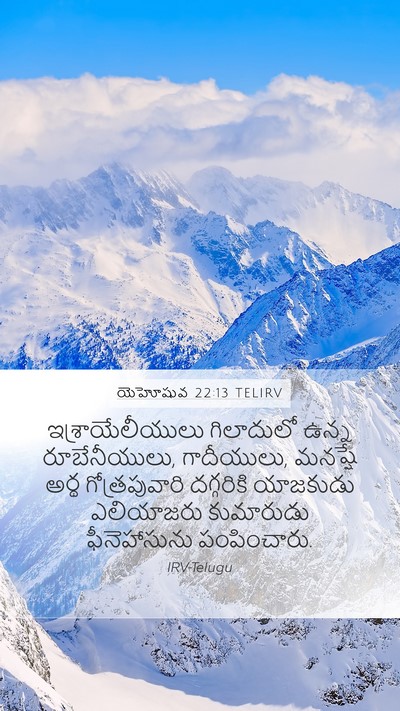 యెహోషువ 22:13 TELIRV Bible Verse Image
