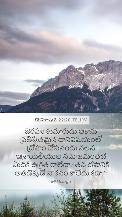 యెహోషువ 22:20 TELIRV Bible Verse Image