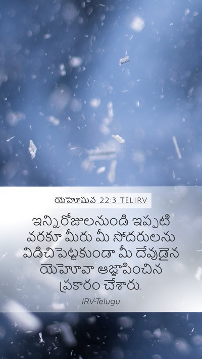 యెహోషువ 22:3 TELIRV Bible Verse Image