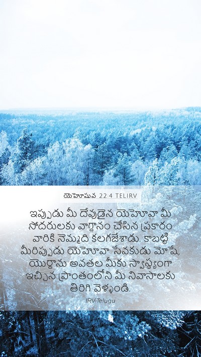 యెహోషువ 22:4 TELIRV Bible Verse Image