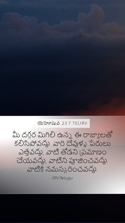 యెహోషువ 23:7 TELIRV Bible Verse Image