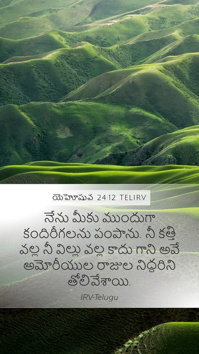యెహోషువ 24:12 TELIRV Mobile Phone Wallpaper - నేను మీకు ముందుగా - Mobile Bible Verse Wallpaper
