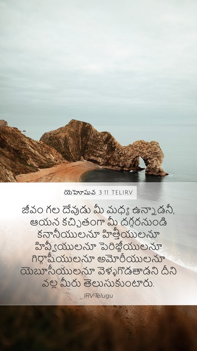 యెహోషువ 3:11 TELIRV Mobile Phone Wallpaper - జీవం గల దేవుడు మీ - Mobile Bible Verse Wallpaper