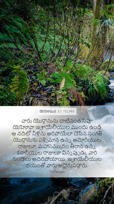 యెహోషువ 5:1 TELIRV Bible Verse Image