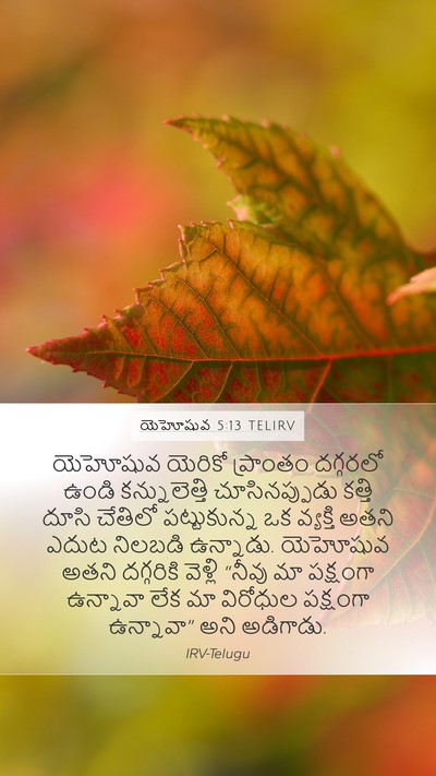 యెహోషువ 5:13 TELIRV Mobile Phone Wallpaper - యెహోషువ యెరికో - Mobile Bible Verse Wallpaper