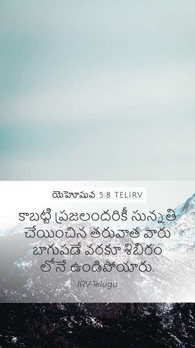 యెహోషువ 5:8 TELIRV Mobile Phone Wallpaper - కాబట్టి - Mobile Bible Verse Wallpaper