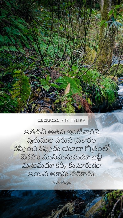 యెహోషువ 7:18 TELIRV Bible Verse Image