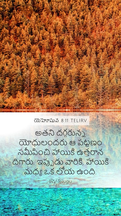 యెహోషువ 8:11 TELIRV Mobile Phone Wallpaper - అతని దగ్గరున్న - Mobile Bible Verse Wallpaper