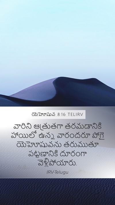 యెహోషువ 8:16 TELIRV Bible Verse Image