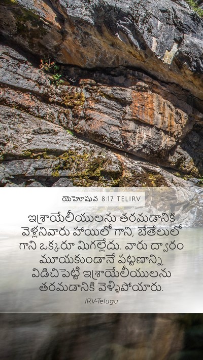 యెహోషువ 8:17 TELIRV Bible Verse Image