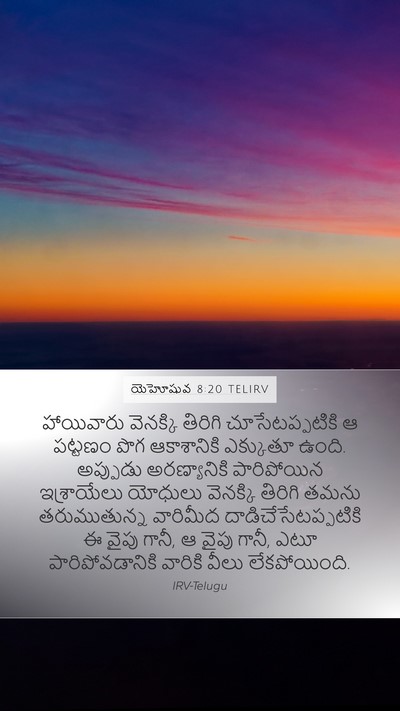 యెహోషువ 8:20 TELIRV Bible Verse Image