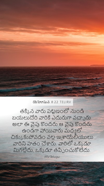 యెహోషువ 8:22 TELIRV Bible Verse Image