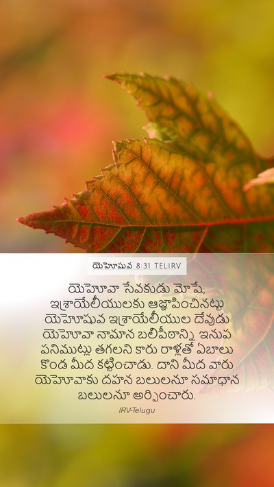 యెహోషువ 8:31 TELIRV Mobile Phone Wallpaper - యెహోవా సేవకుడు - Mobile Bible Verse Wallpaper