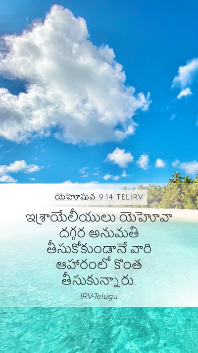 యెహోషువ 9:14 TELIRV Bible Verse Image