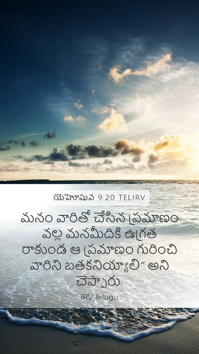 యెహోషువ 9:20 TELIRV Bible Verse Image