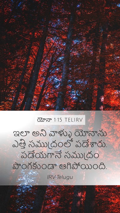 యోనా 1:15 TELIRV Bible Verse Image
