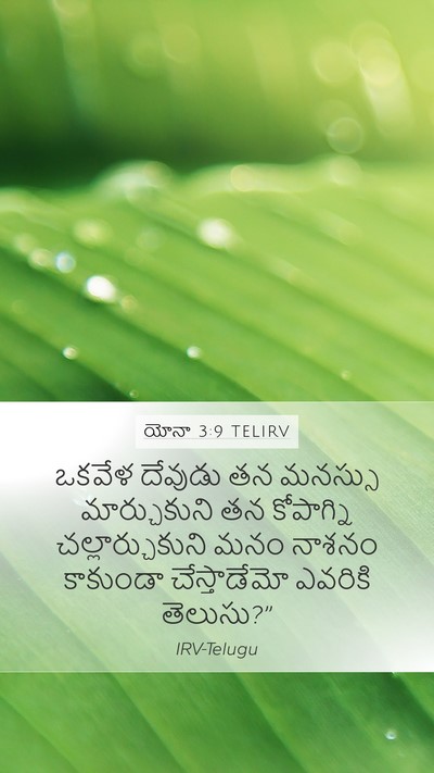 యోనా 3:9 TELIRV Bible Verse Image