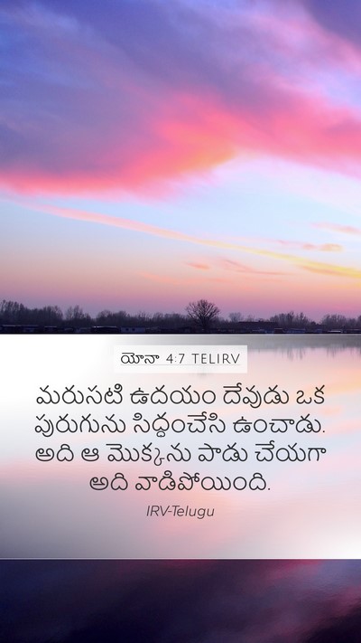 యోనా 4:7 TELIRV Bible Verse Image