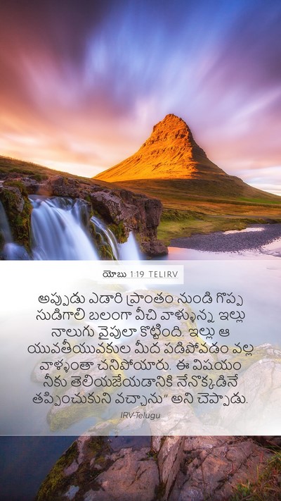 యోబు 1:19 TELIRV Bible Verse Image