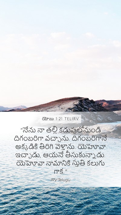 యోబు 1:21 TELIRV Bible Verse Image