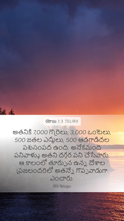 యోబు 1:3 TELIRV Bible Verse Image