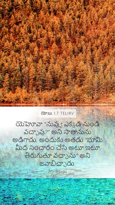 యోబు 1:7 TELIRV Bible Verse Image