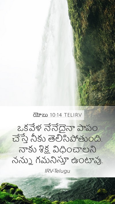 యోబు 10:14 TELIRV Bible Verse Image