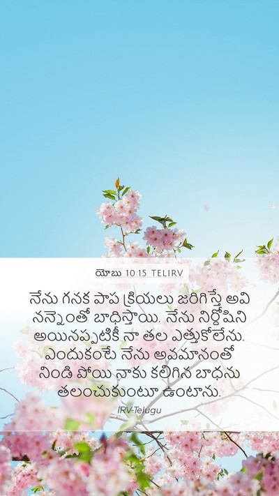 యోబు 10:15 TELIRV Bible Verse Image