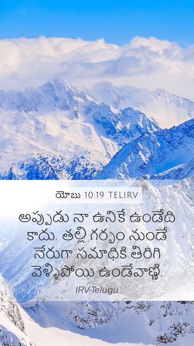 యోబు 10:19 TELIRV Mobile Phone Wallpaper - అప్పుడు నా ఉనికే - Mobile Bible Verse Wallpaper