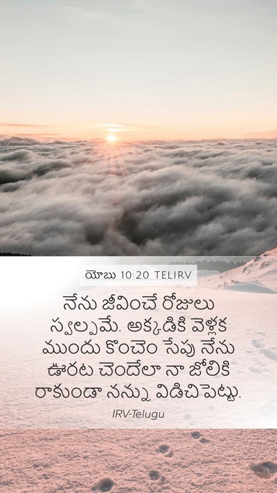 యోబు 10:20 TELIRV Bible Verse Image