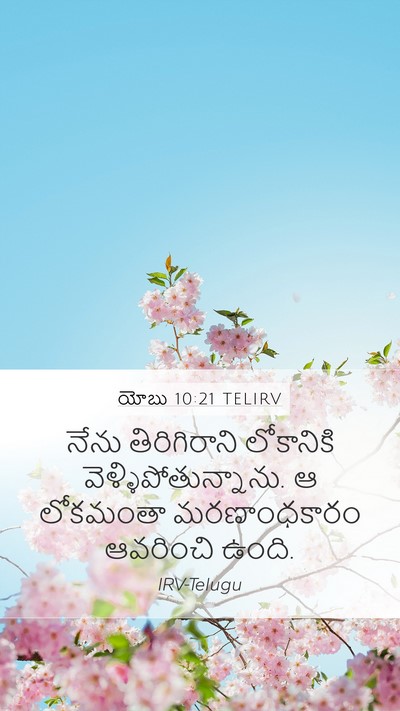 యోబు 10:21 TELIRV Bible Verse Image