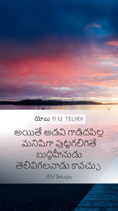 యోబు 11:12 TELIRV Bible Verse Image