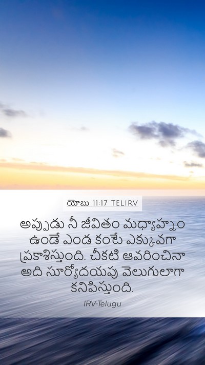 యోబు 11:17 TELIRV Bible Verse Image