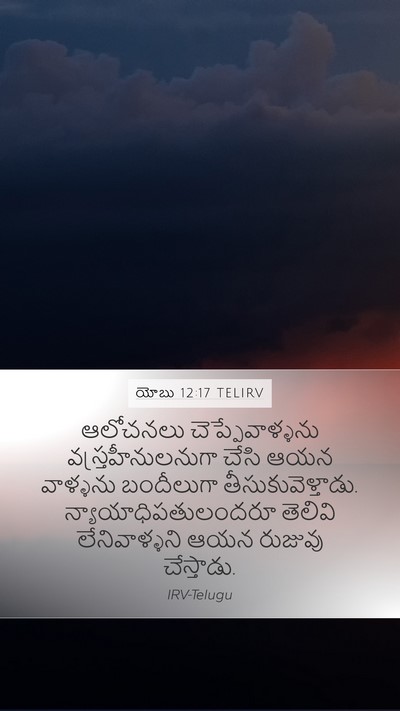 యోబు 12:17 TELIRV Bible Verse Image