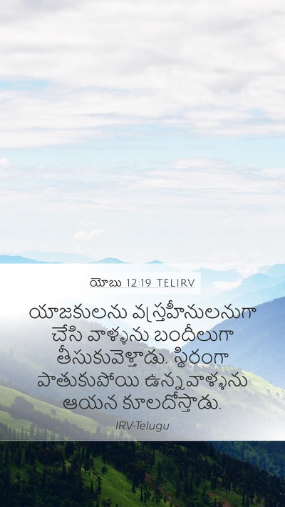 యోబు 12:19 TELIRV Bible Verse Image