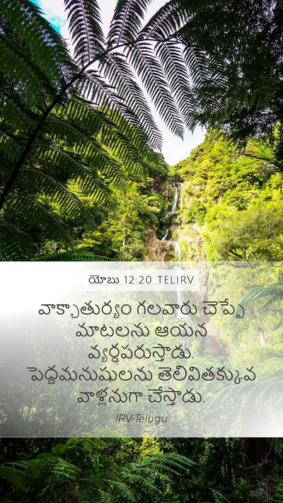 యోబు 12:20 TELIRV Bible Verse Image