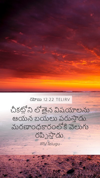 యోబు 12:22 TELIRV Bible Verse Image