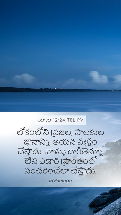 యోబు 12:24 TELIRV Bible Verse Image