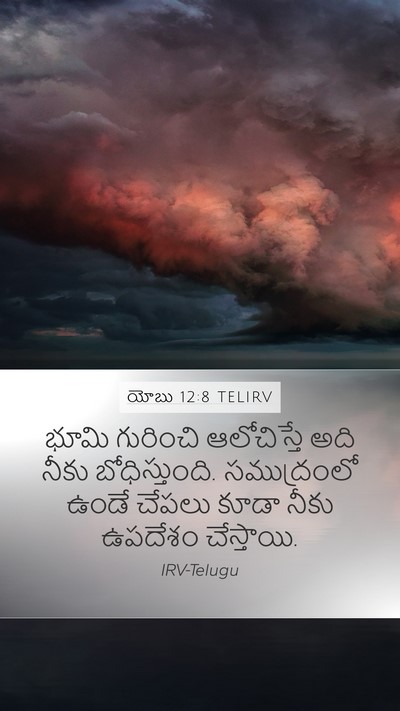 యోబు 12:8 TELIRV Mobile Phone Wallpaper - భూమి గురించి - Mobile Bible Verse Wallpaper