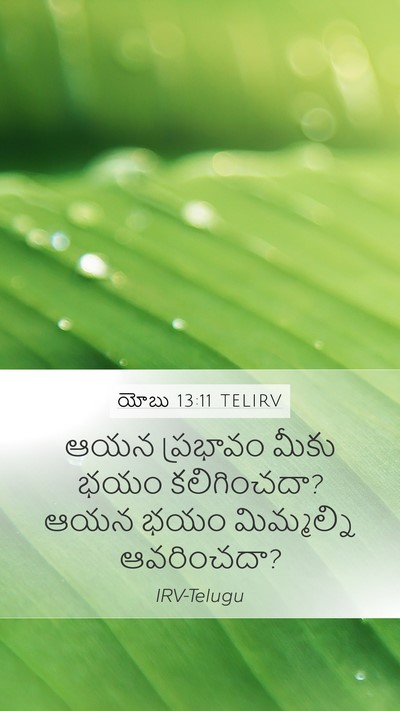 యోబు 13:11 TELIRV Mobile Phone Wallpaper - ఆయన ప్రభావం మీకు - Mobile Bible Verse Wallpaper