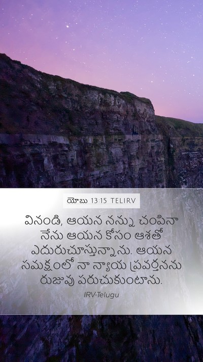 యోబు 13:15 TELIRV Bible Verse Image