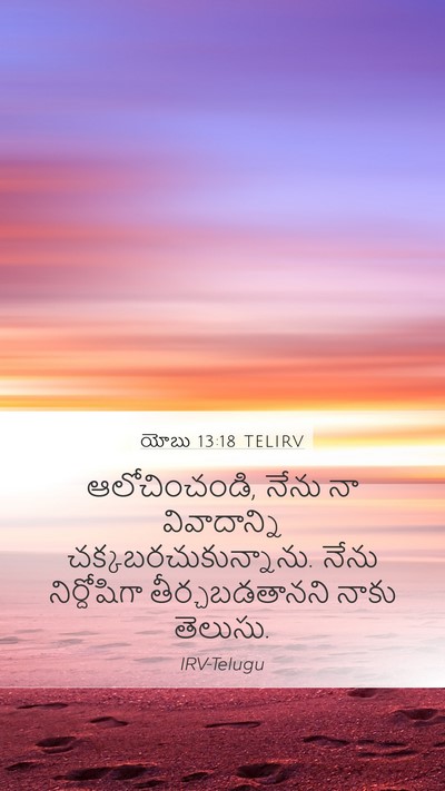 యోబు 13:18 TELIRV Bible Verse Image