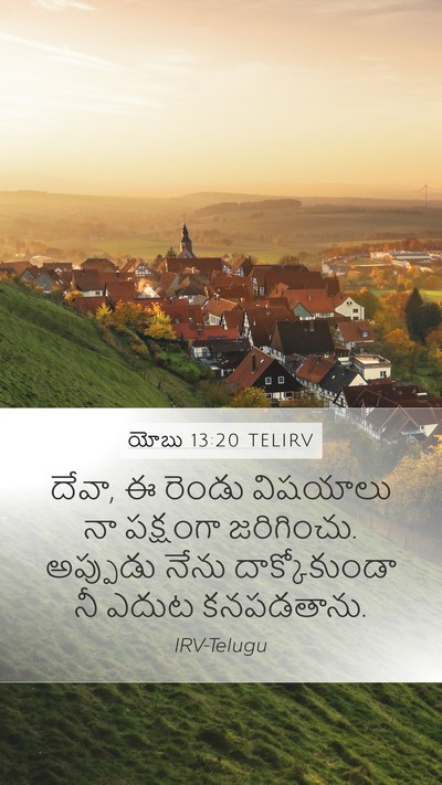 యోబు 13:20 TELIRV Mobile Phone Wallpaper - దేవా, ఈ రెండు - Mobile Bible Verse Wallpaper