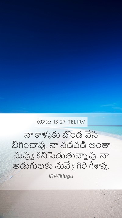 యోబు 13:27 TELIRV Bible Verse Image