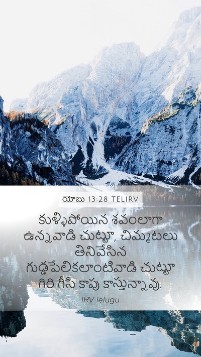 యోబు 13:28 TELIRV Bible Verse Image