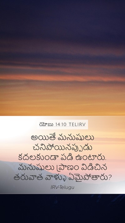 యోబు 14:10 TELIRV Bible Verse Image