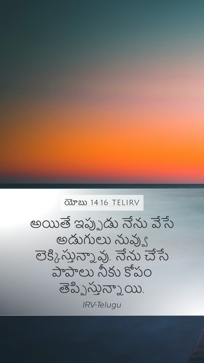 యోబు 14:16 TELIRV Bible Verse Image